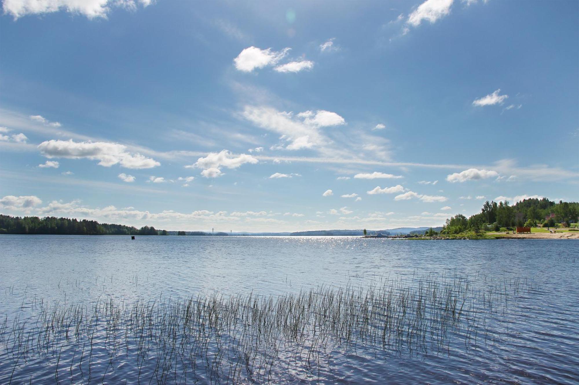 Summer Hotel Taehtelae, Alkio-Opisto Korpilahti Екстер'єр фото